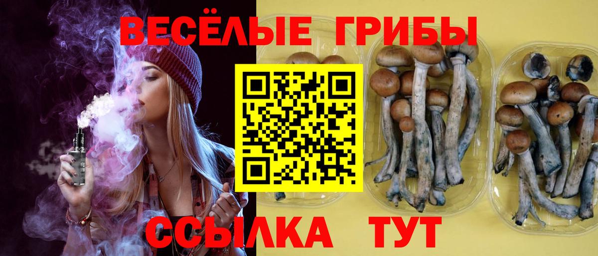 Галлюциногенные грибы прущие грибы  Вход с VPN  Реутов  Псилоцибиновые грибы ЛСД 